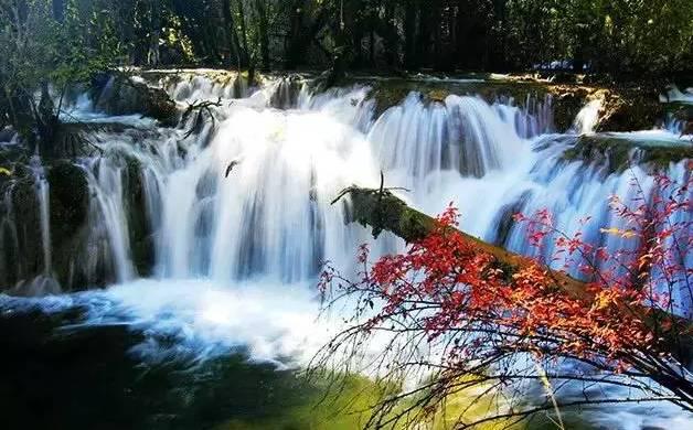 专业问答平台